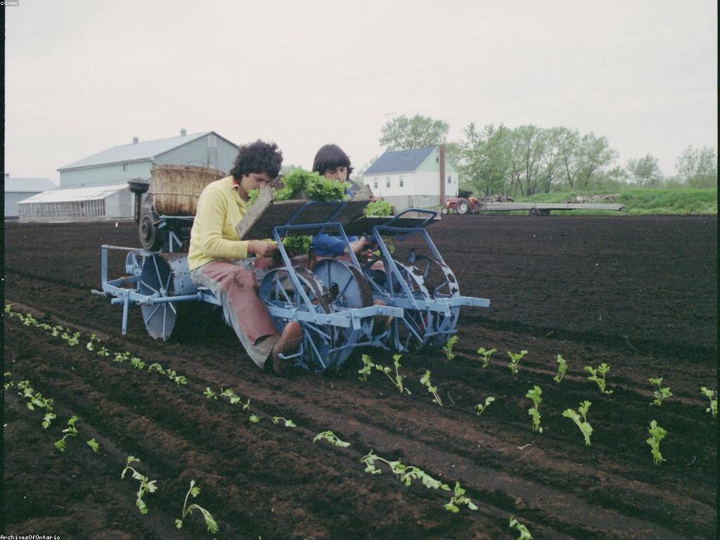 សំណួរ អំពីកសិកម្ម: សំខាន់និងការពិចារណា