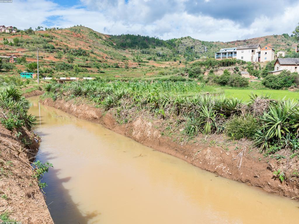 សំណួរ អំពីកសិកម្ម: សំខាន់និងការពិចារណា