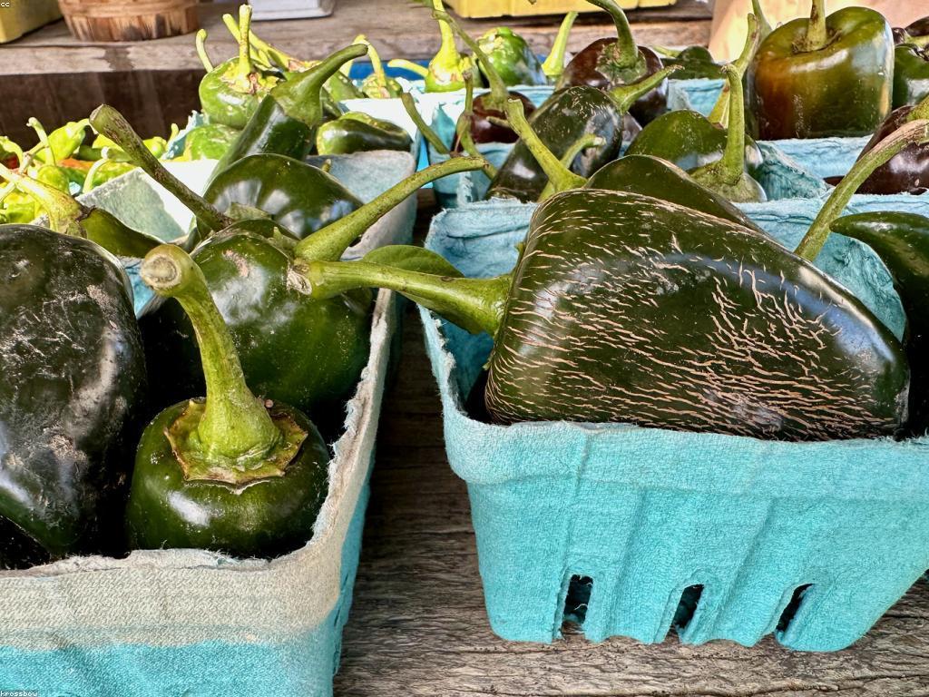 សំណួរ អំពីកសិកម្ម: ការយល់ដឹងនិងដំណោះស្រាយ