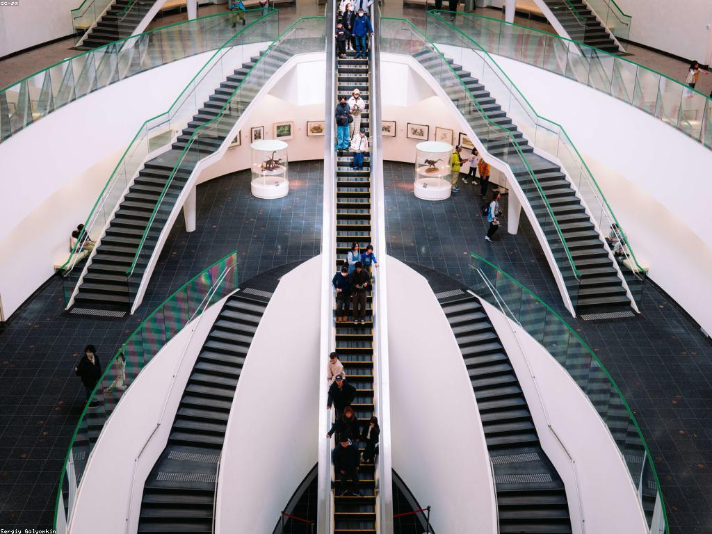 សកម្មភាពពិសេសដែលអ្នកមិនគួរព្យាយាមខ្លួន